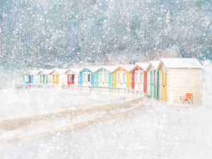 Salon Honorable Mention